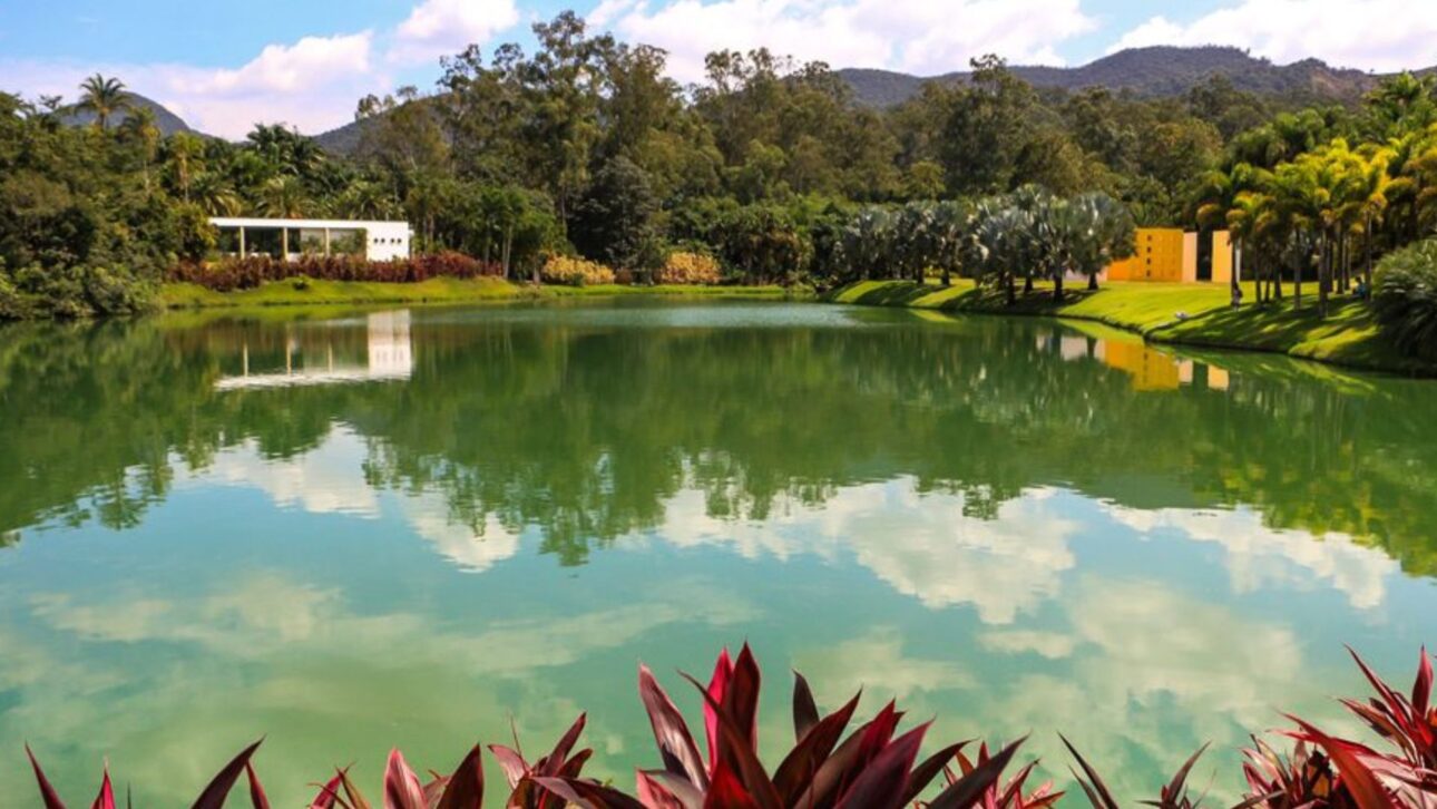 Descubre Inhotim, el mayor museo-bosque de Brasil, con arte internacional, jardines raros y experiencias únicas en Brumadinho. ¡Explora!
