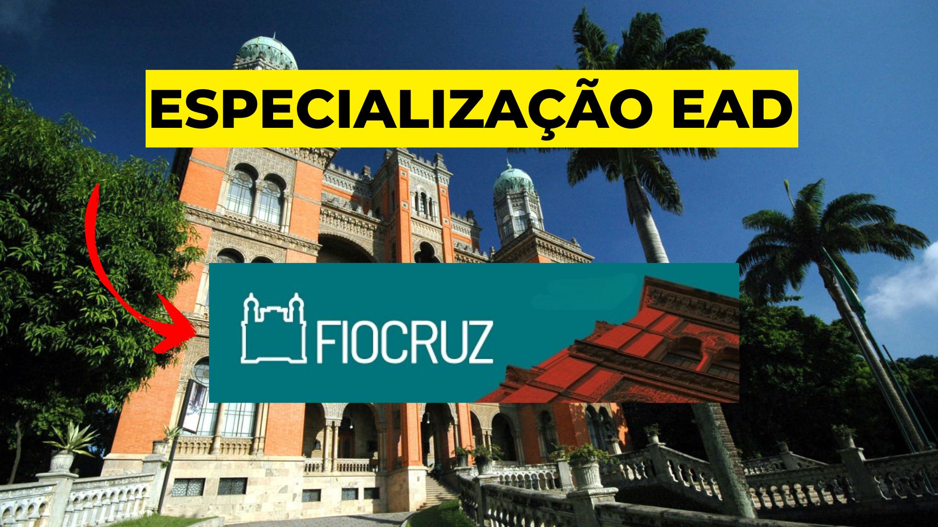 Especialização gratuita EAD da Fiocruz abre vagas para profissionais da saúde de todo o Brasil. Certificação nacional, inscrições até 14/07/2025.