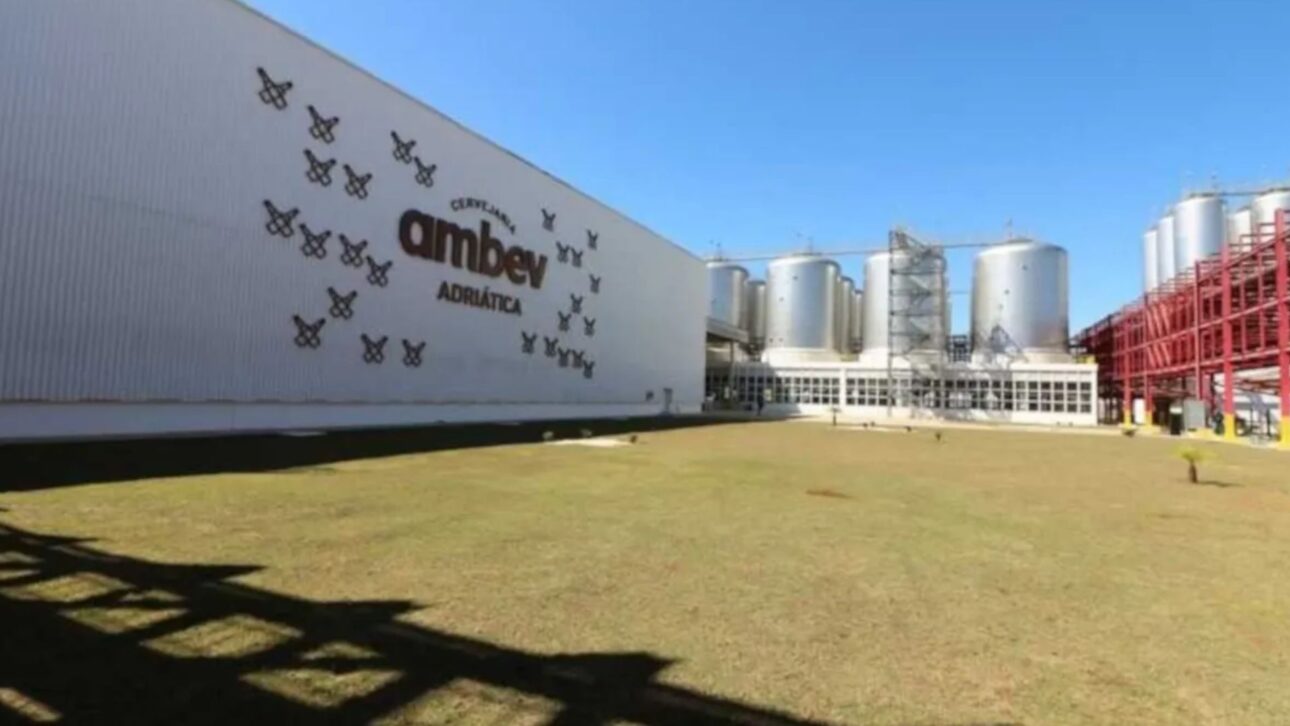 Acompañe Cómo Ambev Enfrenta Competidores, Innovación Y Nuevos Hábitos De Consumo Para Mantener El Liderazgo En El Mercado De Cervezas De Brasil.