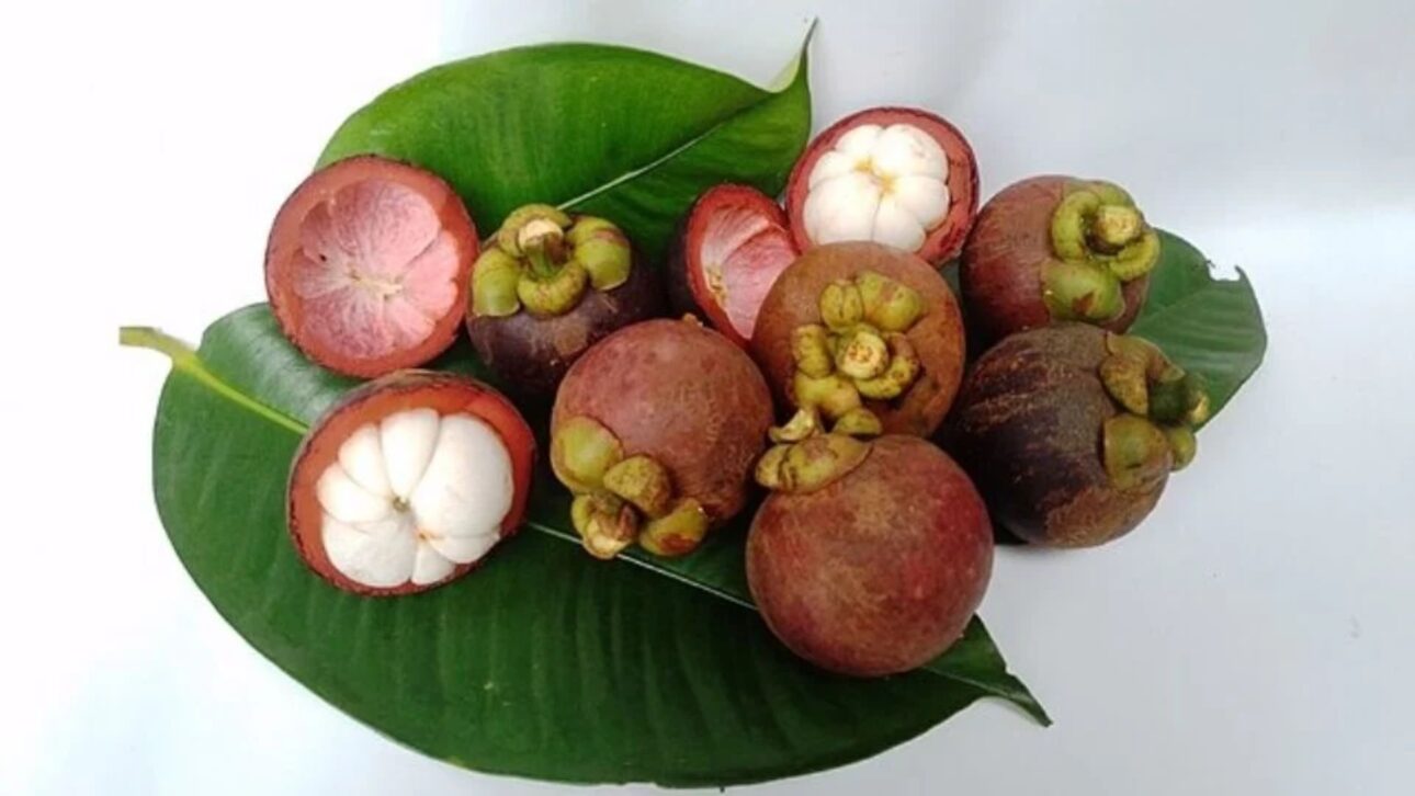 Descubre cuál es la fruta más cara de Brasil en 2025, el valor por kilo, curiosidades del mangostán y por qué fue elegida como la más sabrosa.