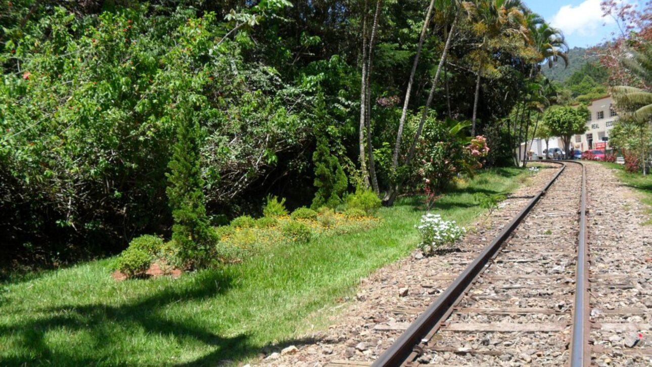 Descubre detalles sobre el regreso del Tren de las Montañas Capixabas, ruta turística que conecta ciudades y paisajes únicos en el Espíritu Santo.