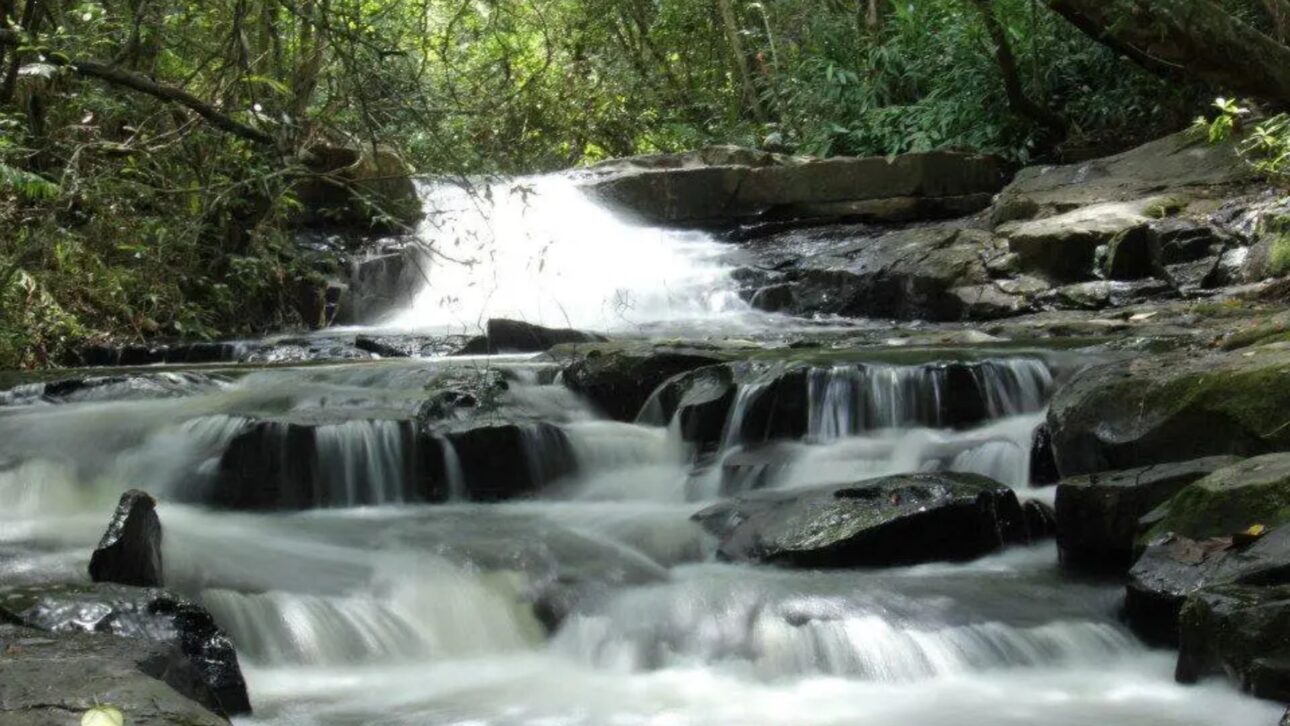 Descubre Analândia, la ciudad congelada en el tiempo cerca de SP, con senderos, cascadas y grutas milenarias. Refugio de paz y naturaleza.