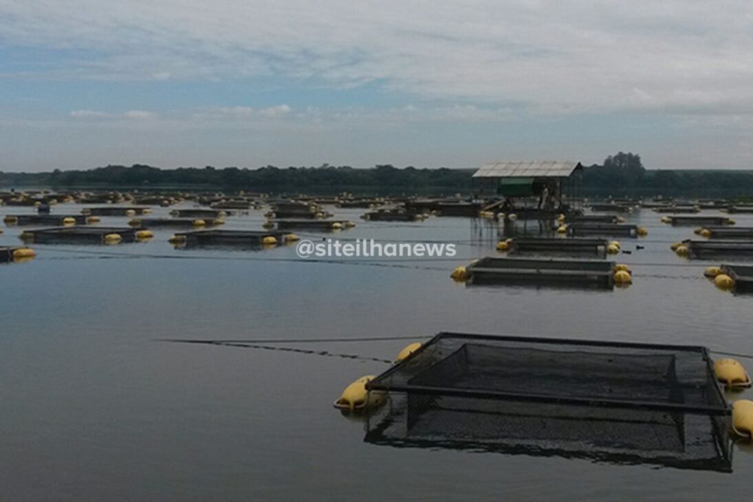 Mar de agua dulce brasileño que produce 85 mil toneladas de pez usa estanques flotantes