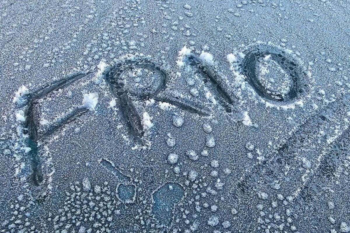 Os 6 melhores aquecedores para comprar em 2025 do básico ao design