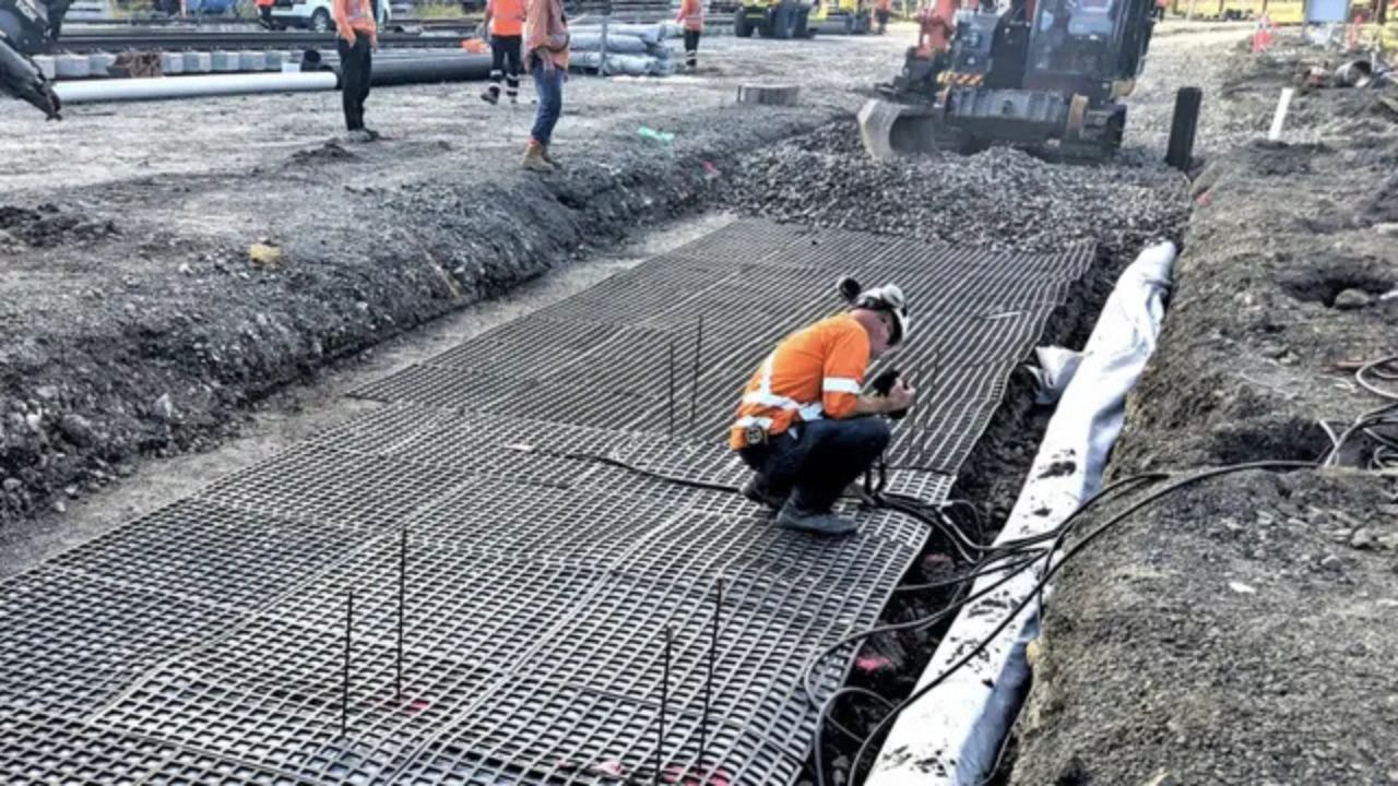 Imagen: Universidad de Tecnología de Sídney