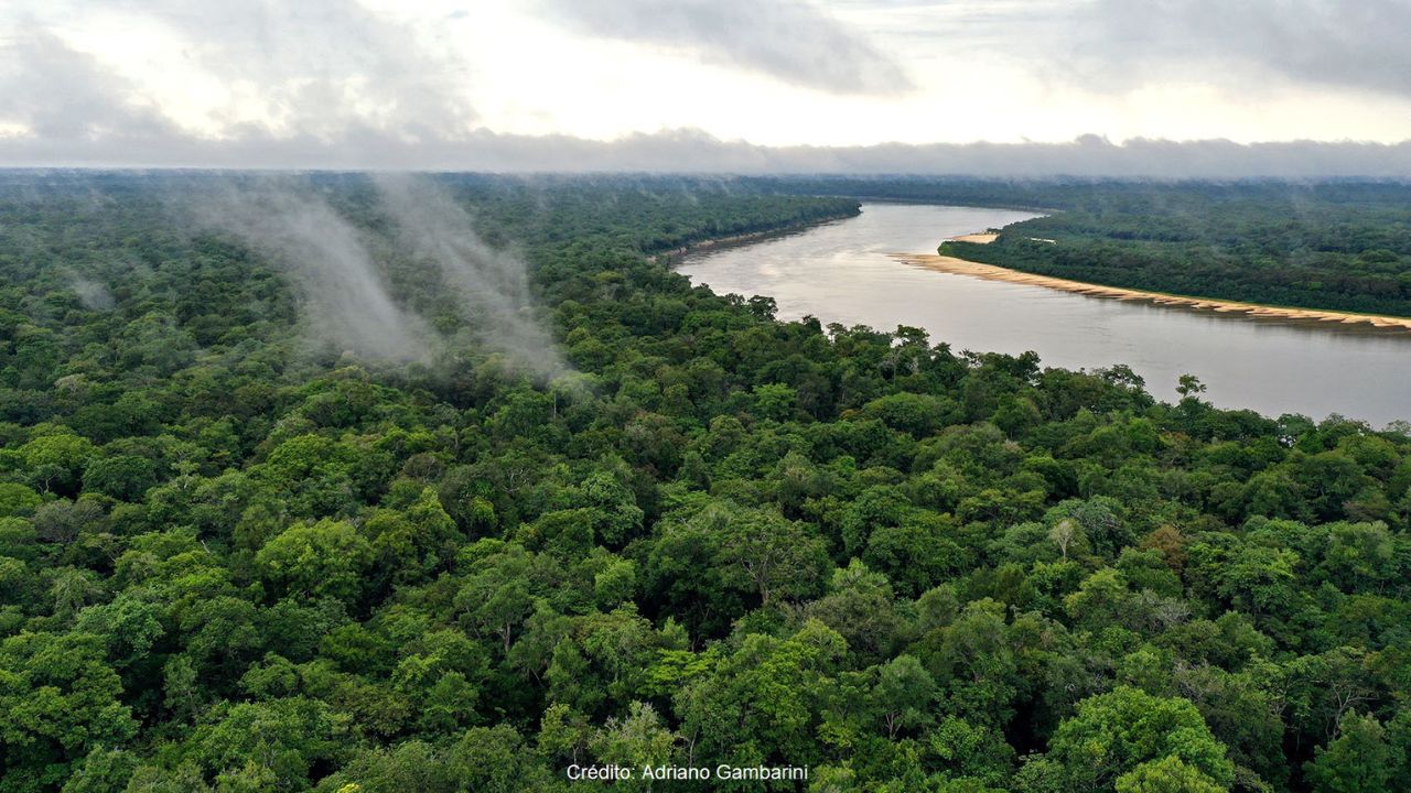 El Río Purus, con 3.218 km, destaca-se por seu trajeto sinuoso e suas águas escuras.