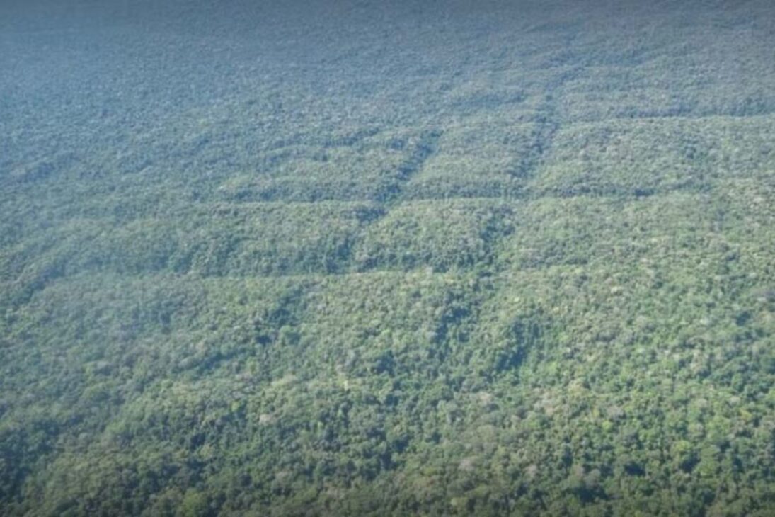 Ratanabá, ¿la “capital del mundo”? La teoría de la ciudad perdida en la Amazonía comentada por científicos