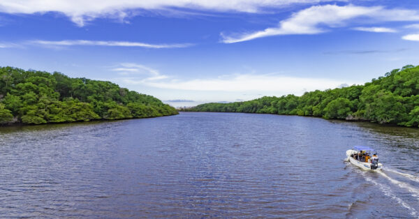 Rio Parnaíba impulsiona soja, milho e pecuária no Nordeste e Norte do Brasil