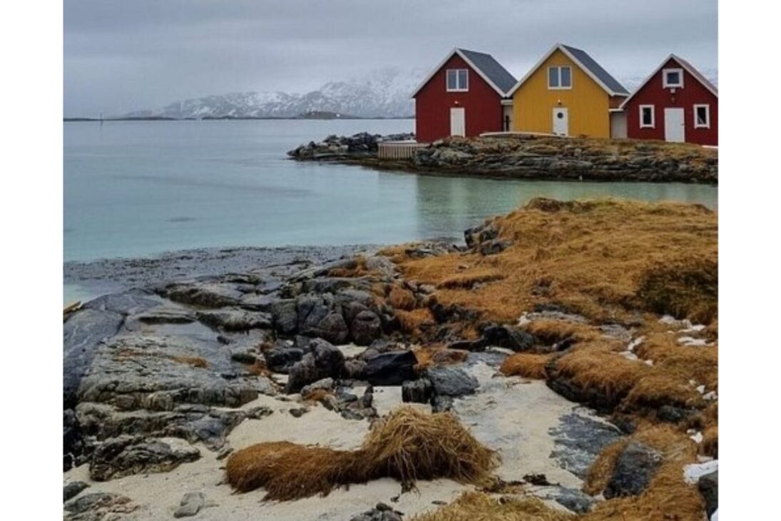 Sommarøy: la isla noruega donde los relojes fueron abolidos y el tiempo no existe más