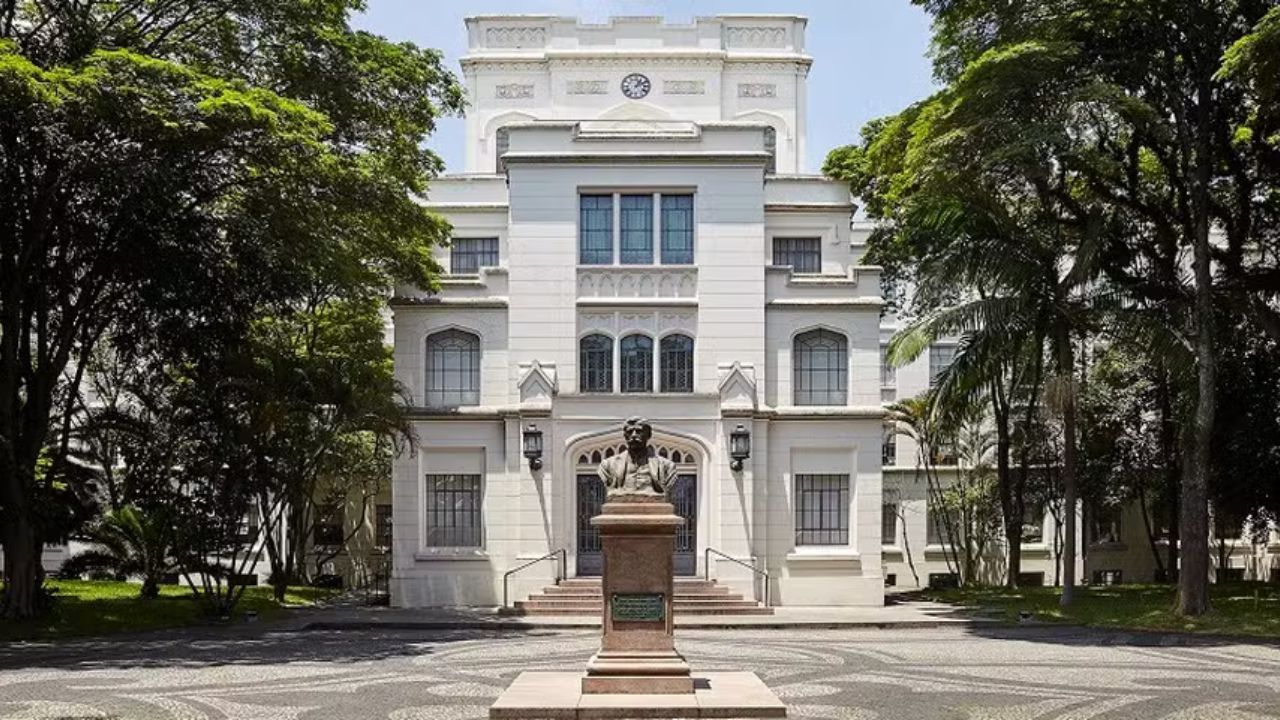 La Universidad de São Paulo (USP) es la universidad brasileña mejor clasificada en los rankings globales, consolidándose como la principal fuerza académica de América Latina. Imagen: Reproducción
