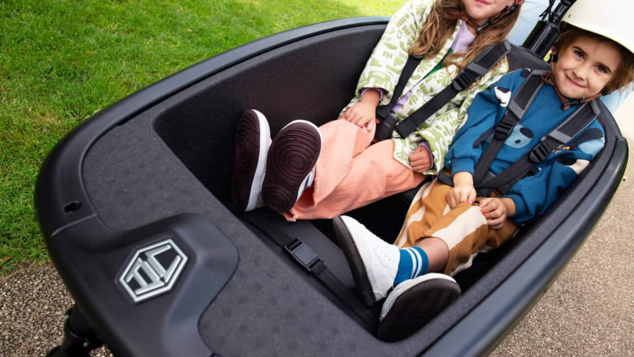 bicicleta eléctrica - motor bosch - transporte