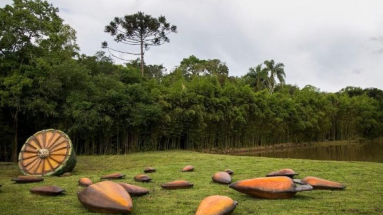 Descubre El Parque Pinhal De Santana En Curitiba, Con Pinos Gigantes, Atractivos Inclusivos Y Cultura Paranaense En Medio De La Naturaleza.
