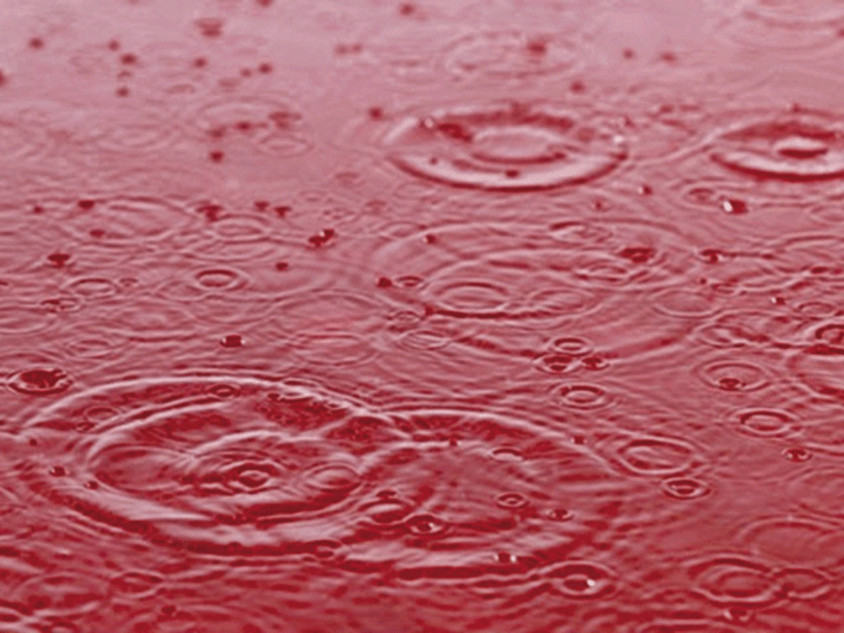 Entenda mais desse fenômeno atmosférico peculiar, conhecido popularmente como chuva de sangue que desperta curiosidade e até apreensão.