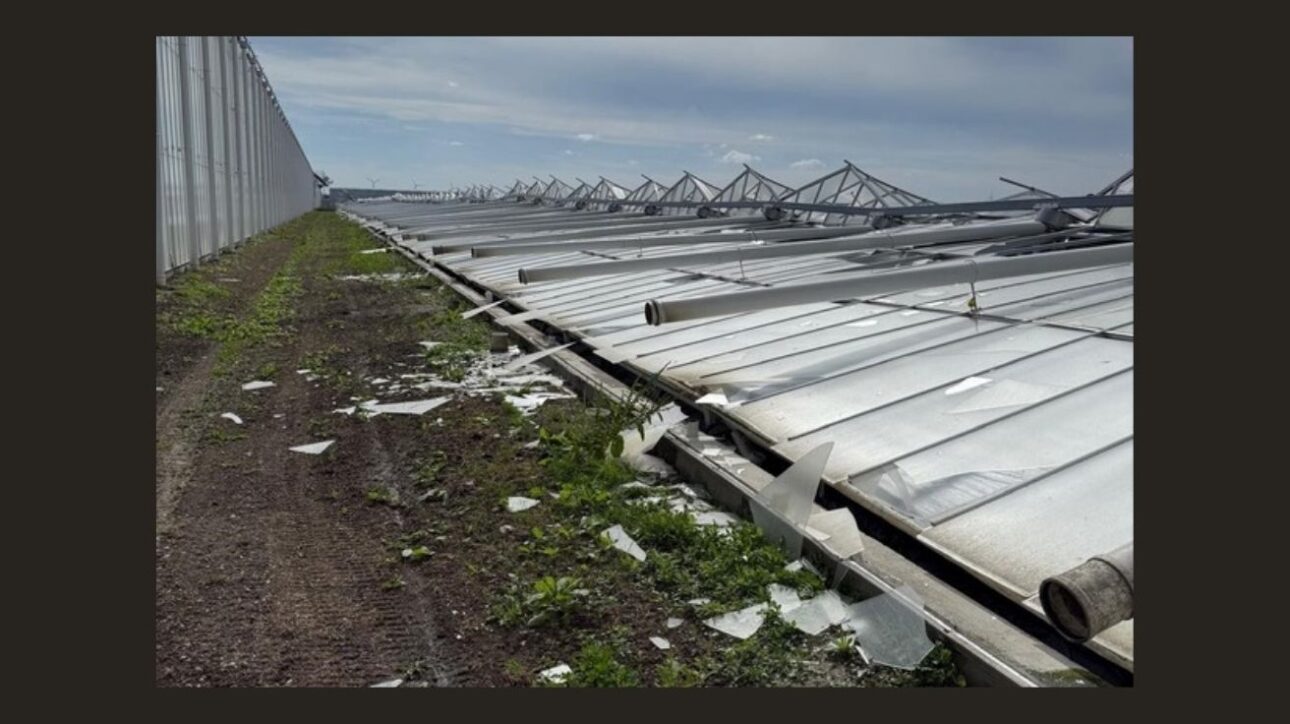 Invernadero agrícola colapsado en los Países Bajos con estructuras metálicas colapsadas en el suelo, al lado de un área de cultivo y cielo parcialmente nublado