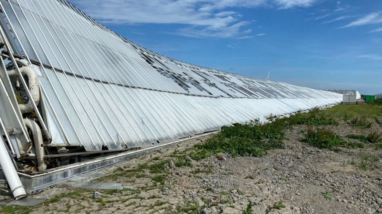 Invernadero agrícola colapsado en los Países Bajos con estructuras metálicas colapsadas en el suelo, al lado de un área de cultivo y cielo parcialmente nublado
