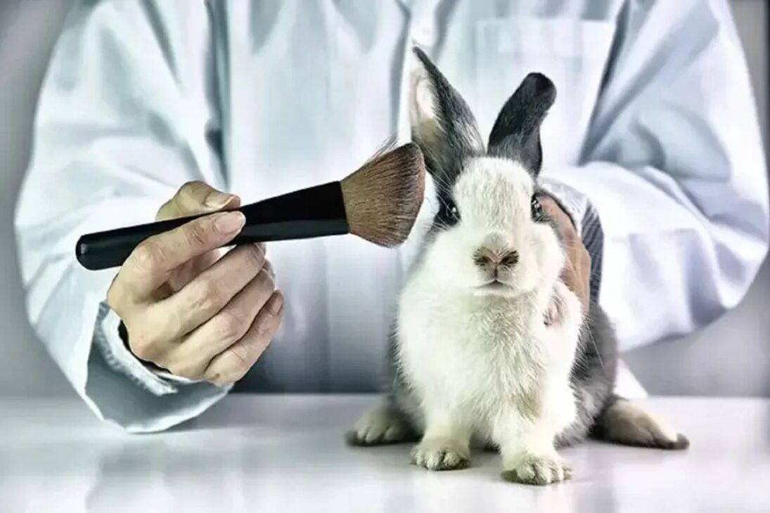 fin de las pruebas de cosméticos en animales en Brasil
