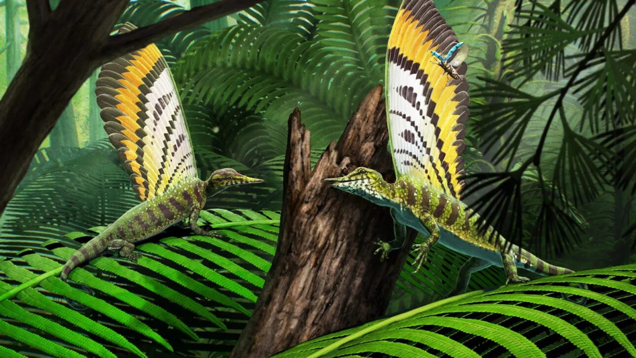 Nueva especie es descubierta en fósil de millones de años: criatura misteriosa vivió en la Tierra antes de los dinosaurios