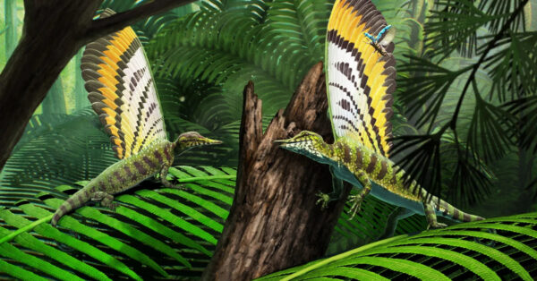 Nova espécie é descoberta em fóssil de milhões de anos: criatura misteriosa viveu na Terra antes dos dinossauros