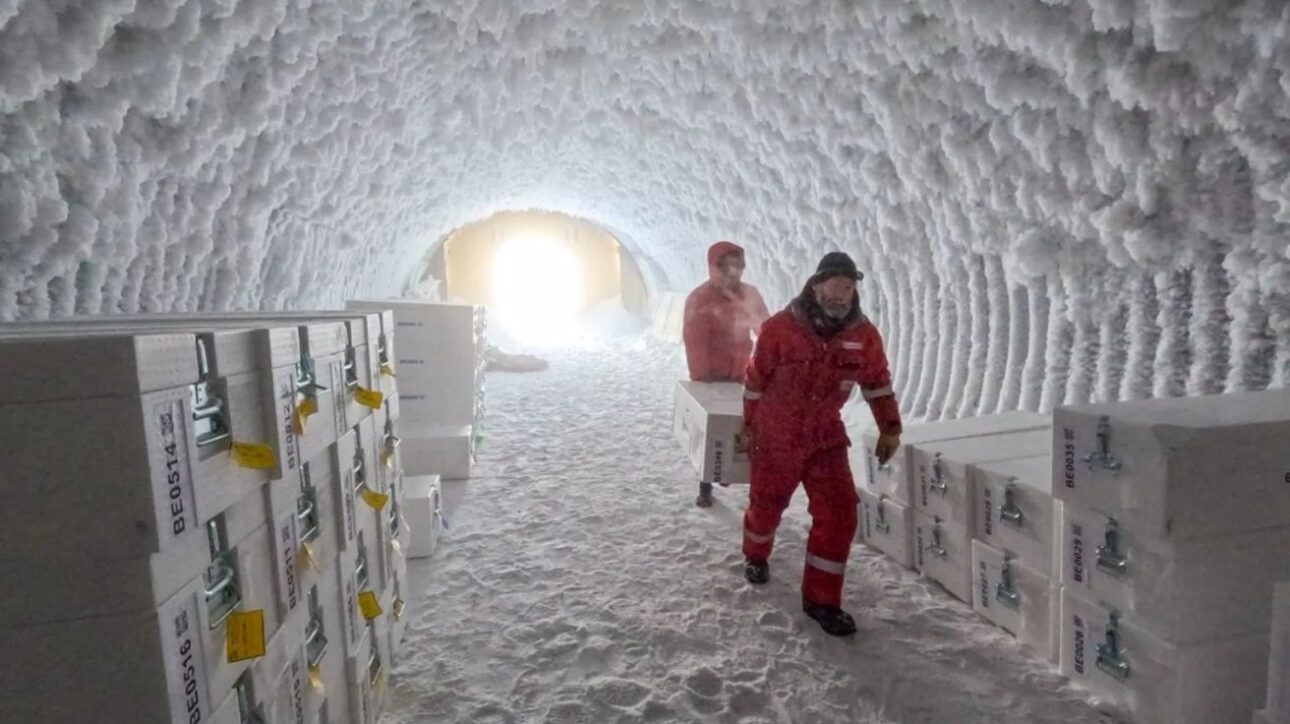 Los núcleos fueron almacenados en una caverna de hielo en la Antártica antes de ser cargados en un barco para Europa.