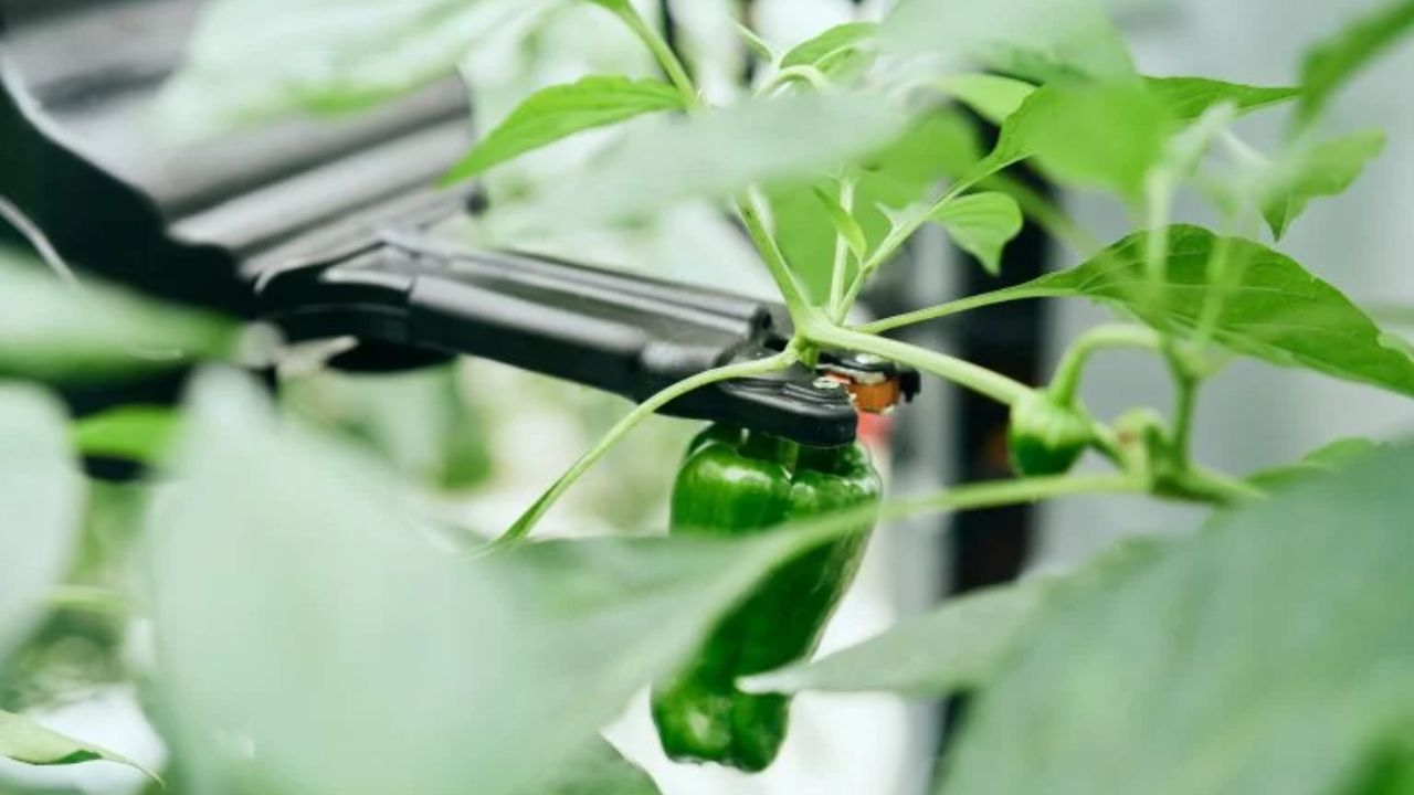 Robots En El Agro