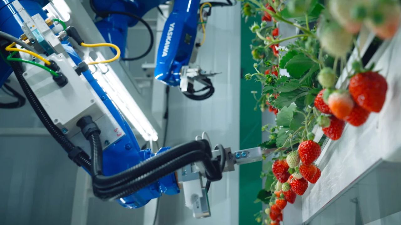 Los Robots Están Cambiando El Agro En Brasil. Conozca Las Tecnologías Que Están Revolucionando La Cosecha Con Más Precisión, Menos Pérdidas Y Más Sostenibilidad.