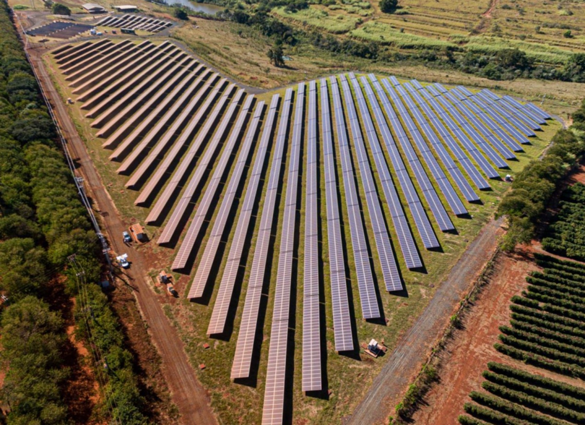 Parque solar em área rural com centenas de painéis fotovoltaicos alinhados, integrados à vegetação ao redor.