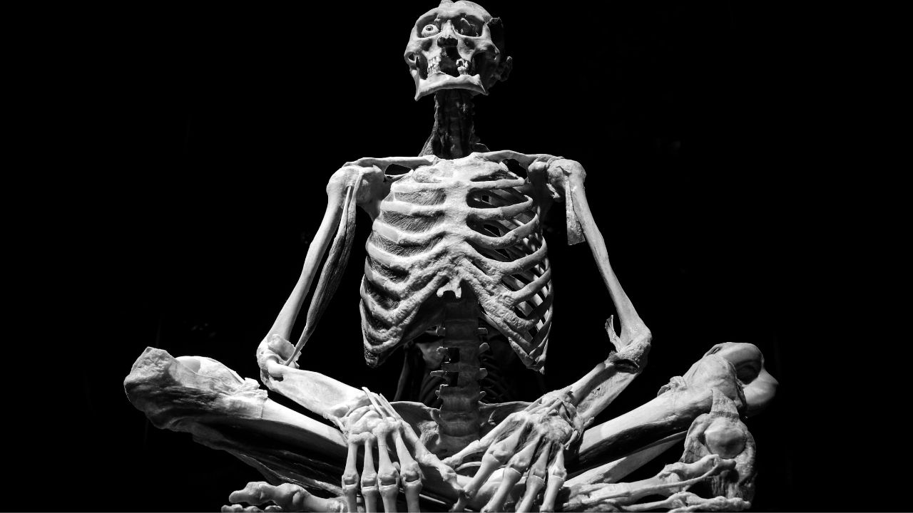 Descubra como o carbono-14 e o radiocarbono ajudam a revelar a história da humanidade e do clima da Terra.