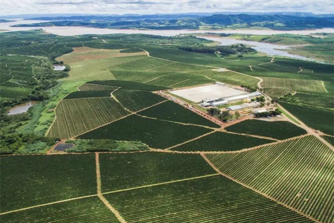 Con 18 mil hectáreas y 3.900 trabajadores, ex-cobrador se convierte en el 'rey del café' en Brasil