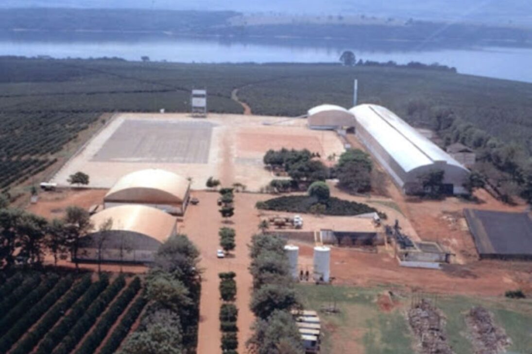 Conozca la mayor finca de café de Brasil que produce 3,2 millones de sacas por año