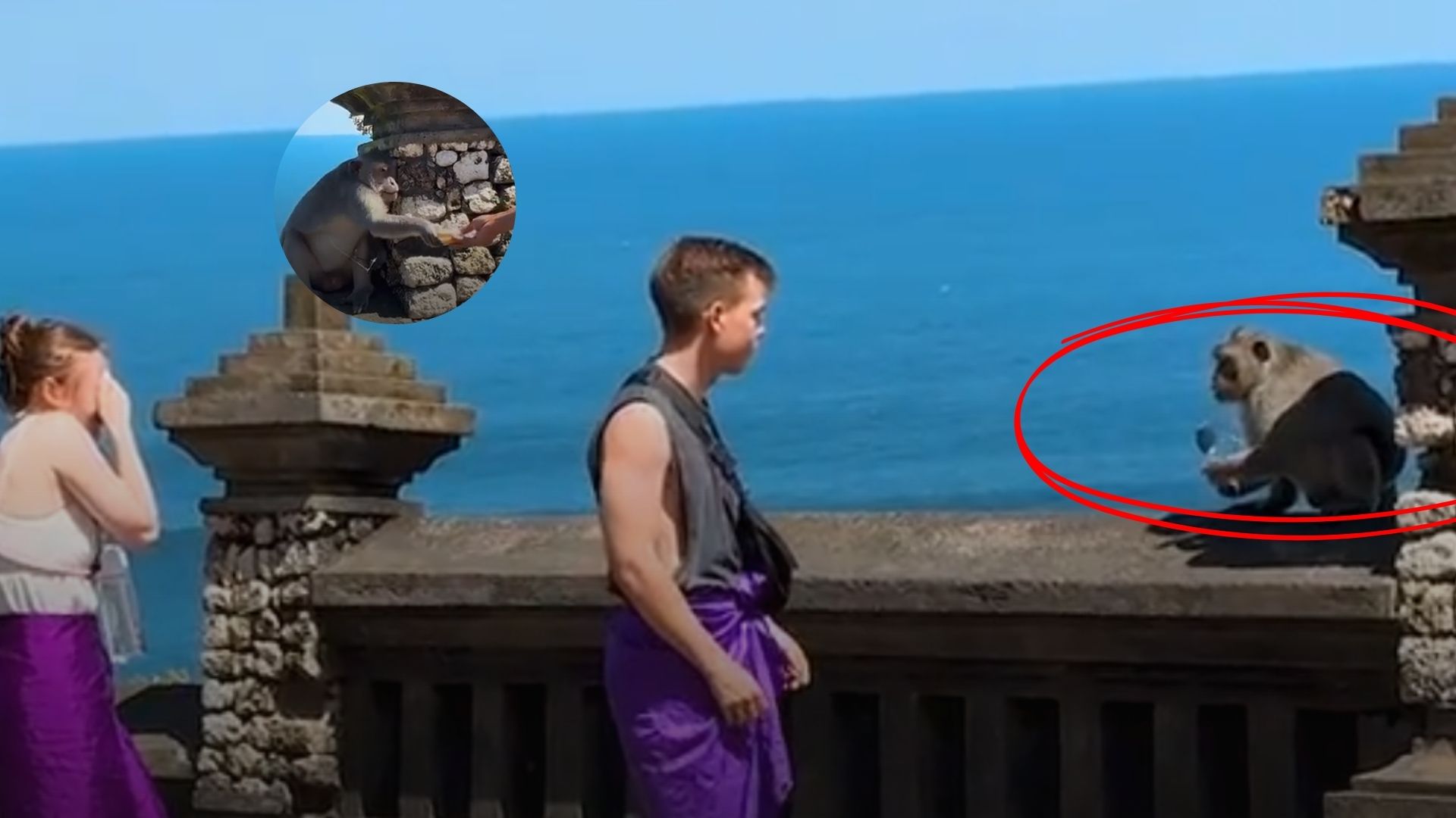 https://www.wsj.com/lifestyle/monkeys-thieves-bali-temple-0b63a432