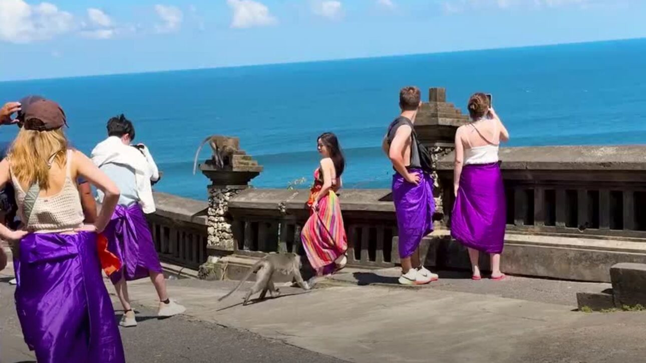 Monos de Bali roban iPhones y negocian devolución por frutas y galletas en el templo Uluwatu. Descubre cómo funciona este curioso intercambio.