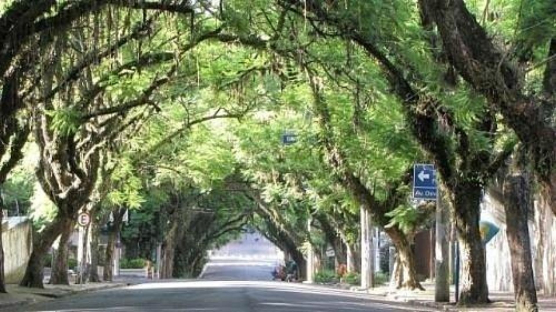 Descubre la Calle Gonçalo de Carvalho, en Porto Alegre, considerada la más bonita de Brasil, símbolo de urbanismo sostenible y patrimonio ambiental.