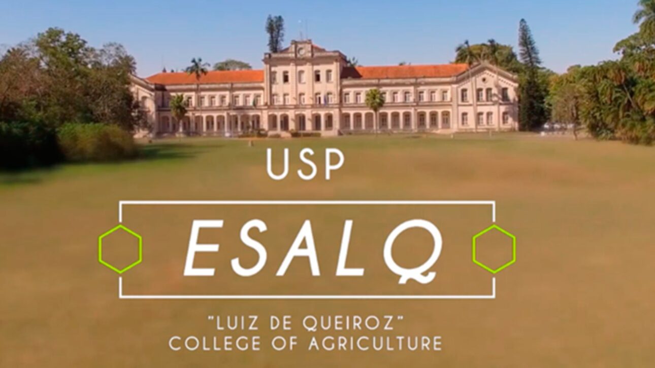 La historia de Luiz de Queiroz y de la ESALQ/USP revela cómo una donación de tierras moldeó la ciencia agrícola brasileña.