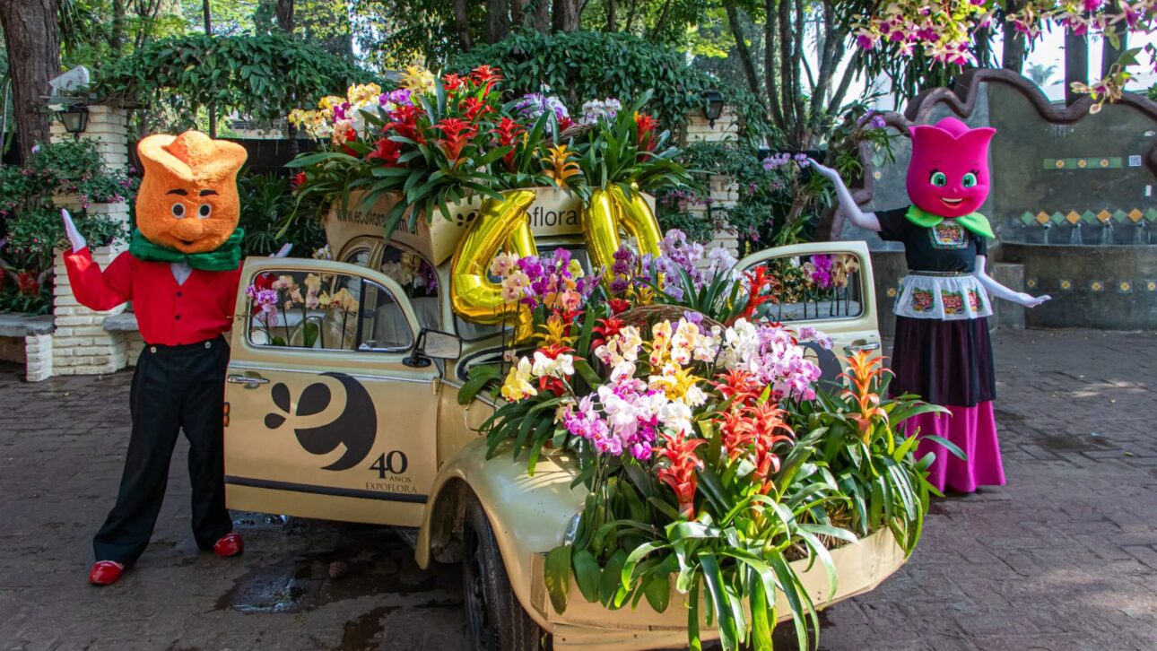 Arreglos florales decoran carro durante festividad, con mascota al fondo en la Expoflora.” Crédito: Portal de Holambra