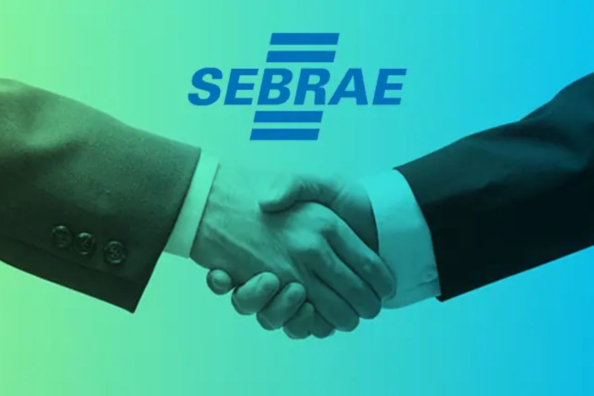 Transformação digital com ajuda financeira: Sebrae aposta em nova rodada de impacto para pequenos negócios