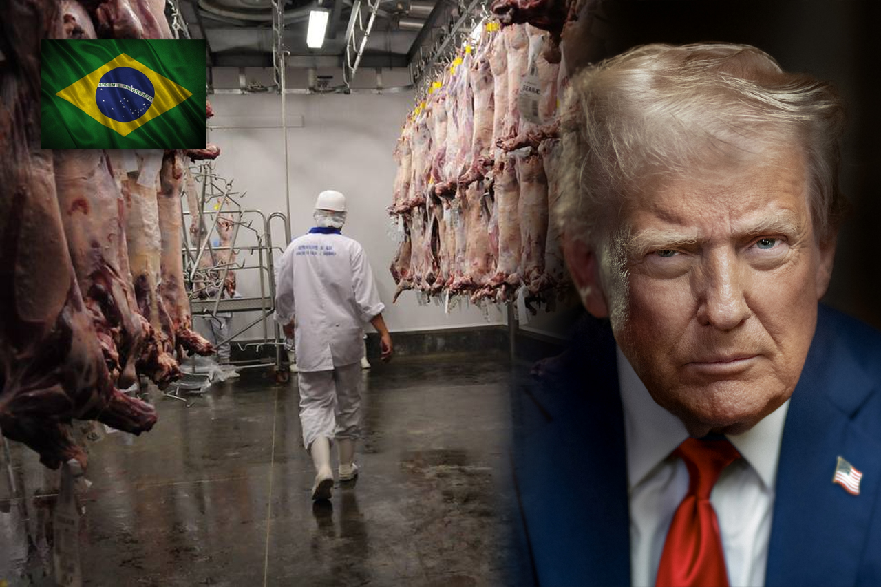 Sem tarifaço! O “plano B” das gigantes brasileiras JBS, Marfrig e Minerva dribla o choque de 50% e preserva contratos bilionários