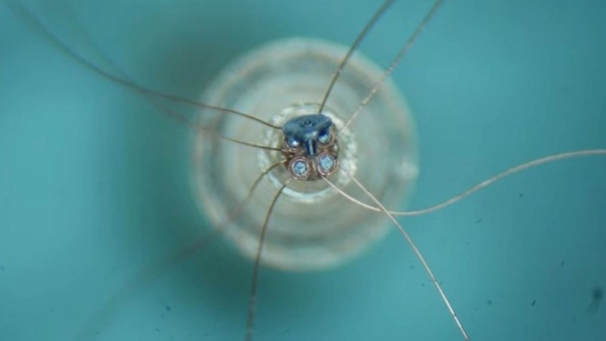 Motor de Chromonova Engineering visto a través de un microscopio. Pequeño motor