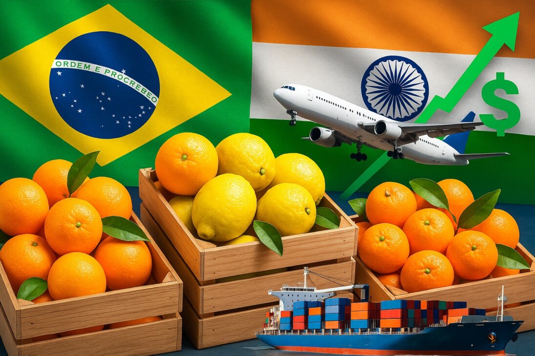Brasil Conquista Acceso Inédito a un Nuevo Mercado en 2025: India Abre Mercado para Naranjas, Limones y Mandarinas Nacionales — Exportaciones Pueden Reportar Millones en el Mayor País Consumidor del Planeta