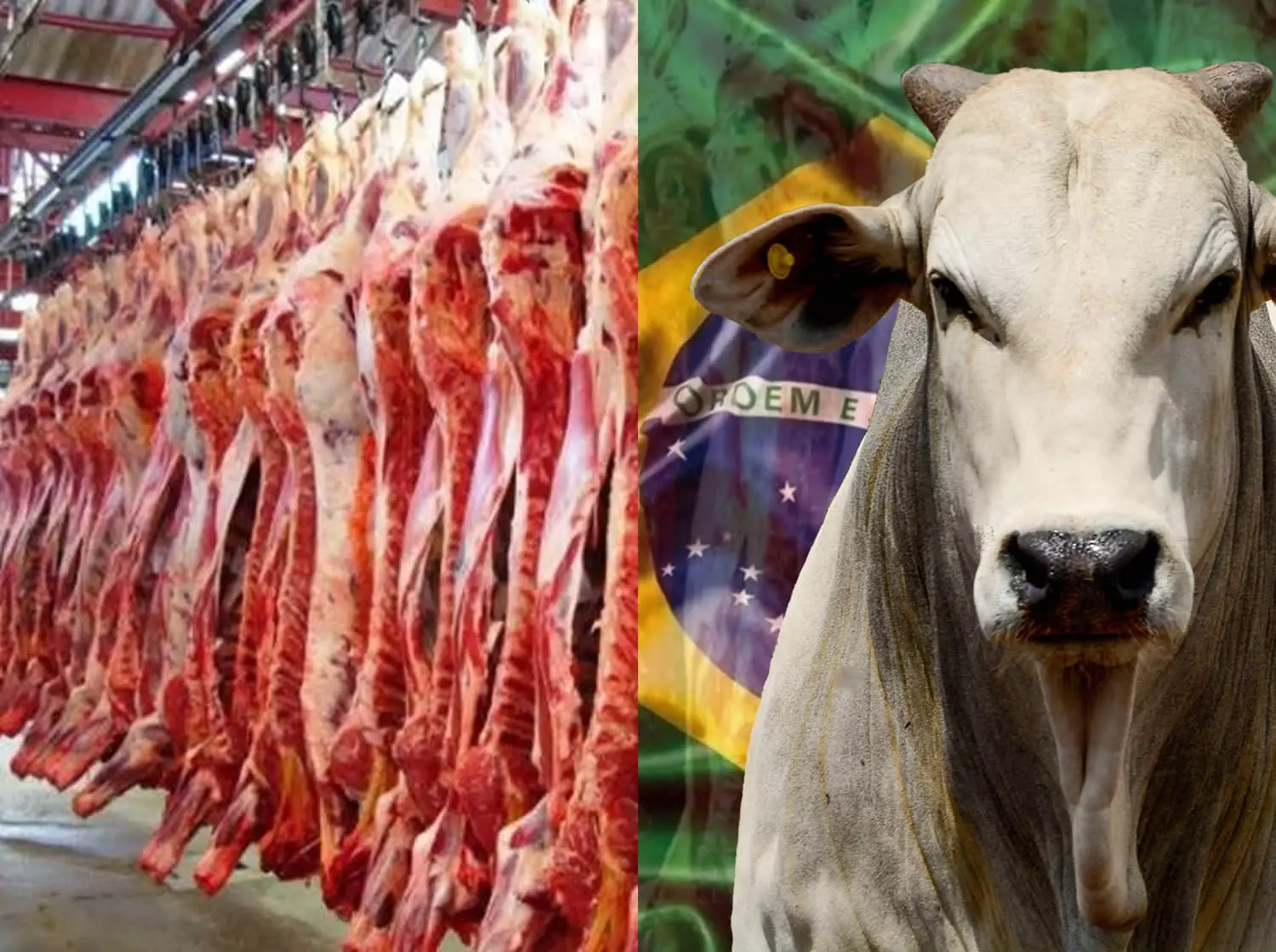 Uma tarifa de 26,5% no mercado dos Estados Unidos torna a carne bovina brasileira inacessível para o consumidor americano!