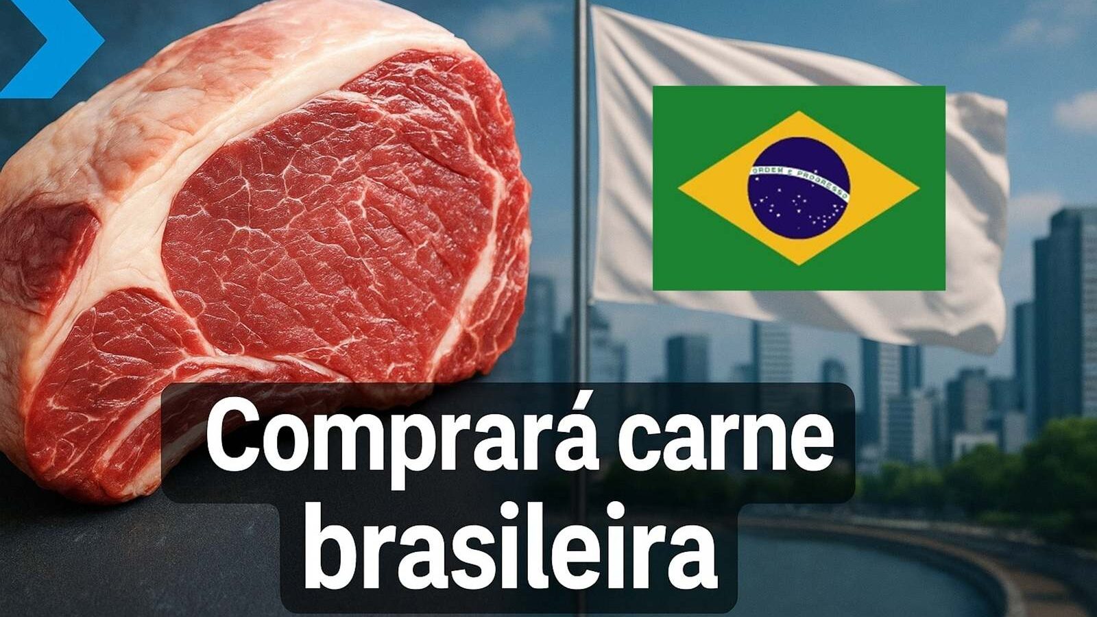 carne bovina