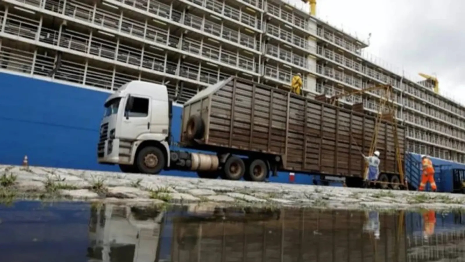 Bois vivos, Exportação de bois vivos