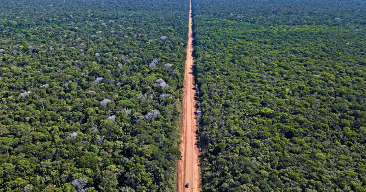 Descubre por qué la BR-319, principal carretera de la Amazonía, nunca ha sido pavimentada de verdad y cómo eso afecta a la región y a Brasil.