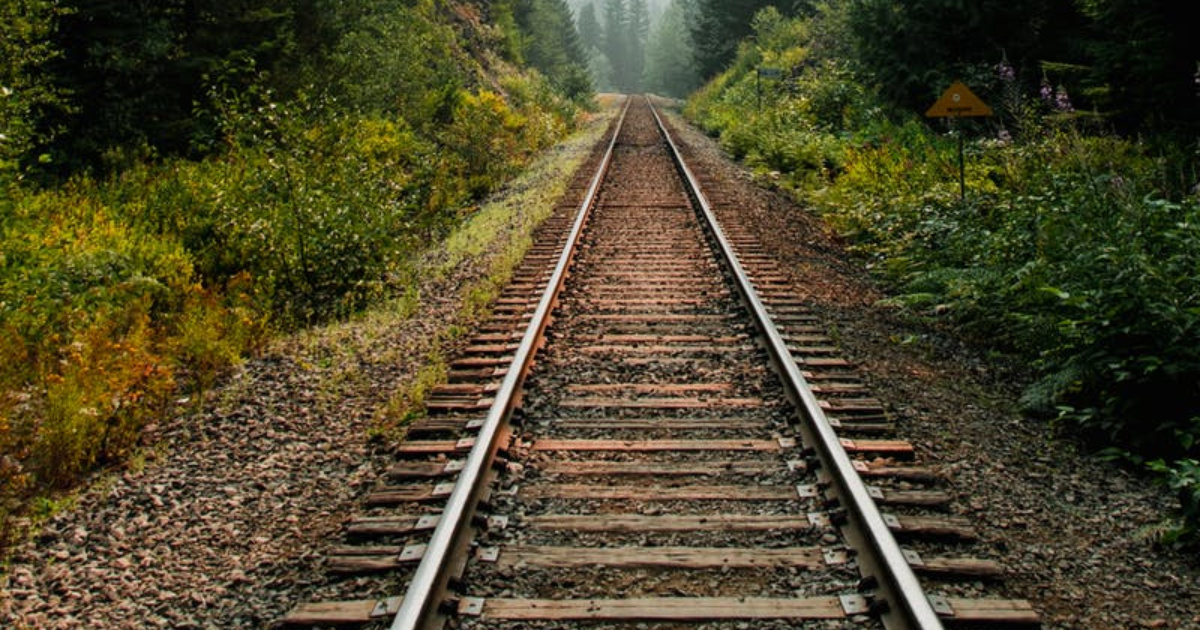 El sector ferroviario brasileño vive una expansión inédita con APP, reactivación de fábricas y proyectos multimillonarios. Nuevas inversiones impulsan la movilidad.( Foto: wasaki)