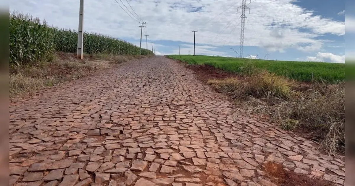 La Ruta del Araguari será asfaltada y puede convertirse en una ruta alternativa entre Arapongas y Londrina, desviándose del peaje. Entienda los cambios. (Foto: Cindy Santos/TNOnline)
