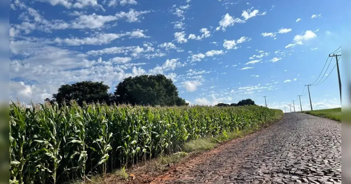 La Ruta del Araguari será asfaltada y puede convertirse en una ruta alternativa entre Arapongas y Londrina, desviándose del peaje. Entienda los cambios. (Foto: Cindy Santos/TNOnline)