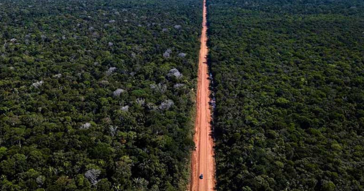 Tramo de 52 km en la BR-319 divide opiniones entre avance económico y riesgo de 8 mil millones de toneladas de CO₂ en la Amazonía.  (Foto: Dnit/Divulgação)