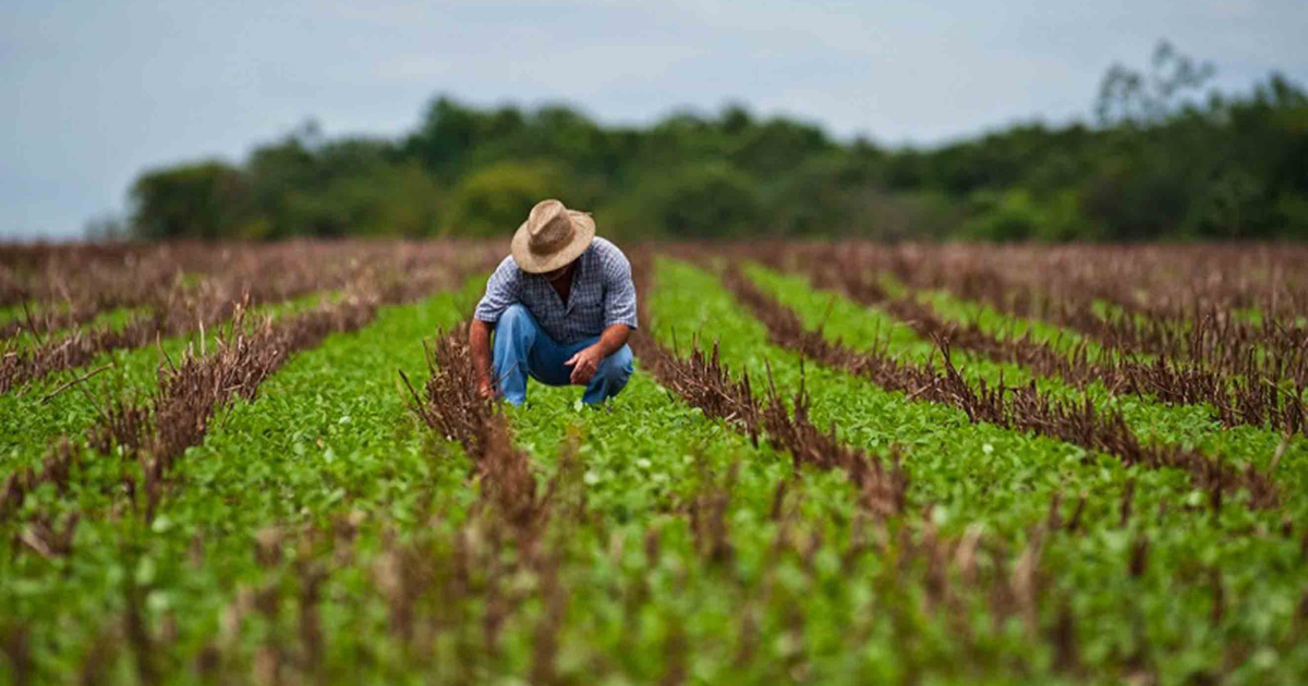 Rubens Ometto enfrenta crisis en Cosan y Raízen, con deudas millonarias, desinversiones y ajustes que desafían su imperio agrícola.