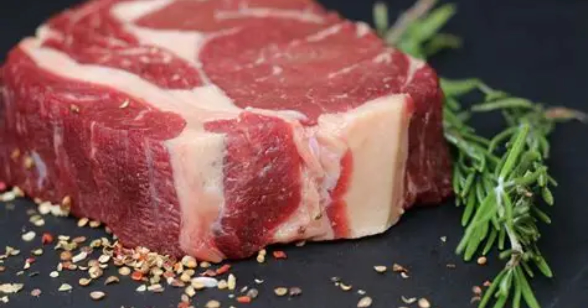 Nueva ruta marítima entre Ceará y Asia aumenta exportaciones de carne bovina en 48% y moviliza más de 32 mil contenedores.