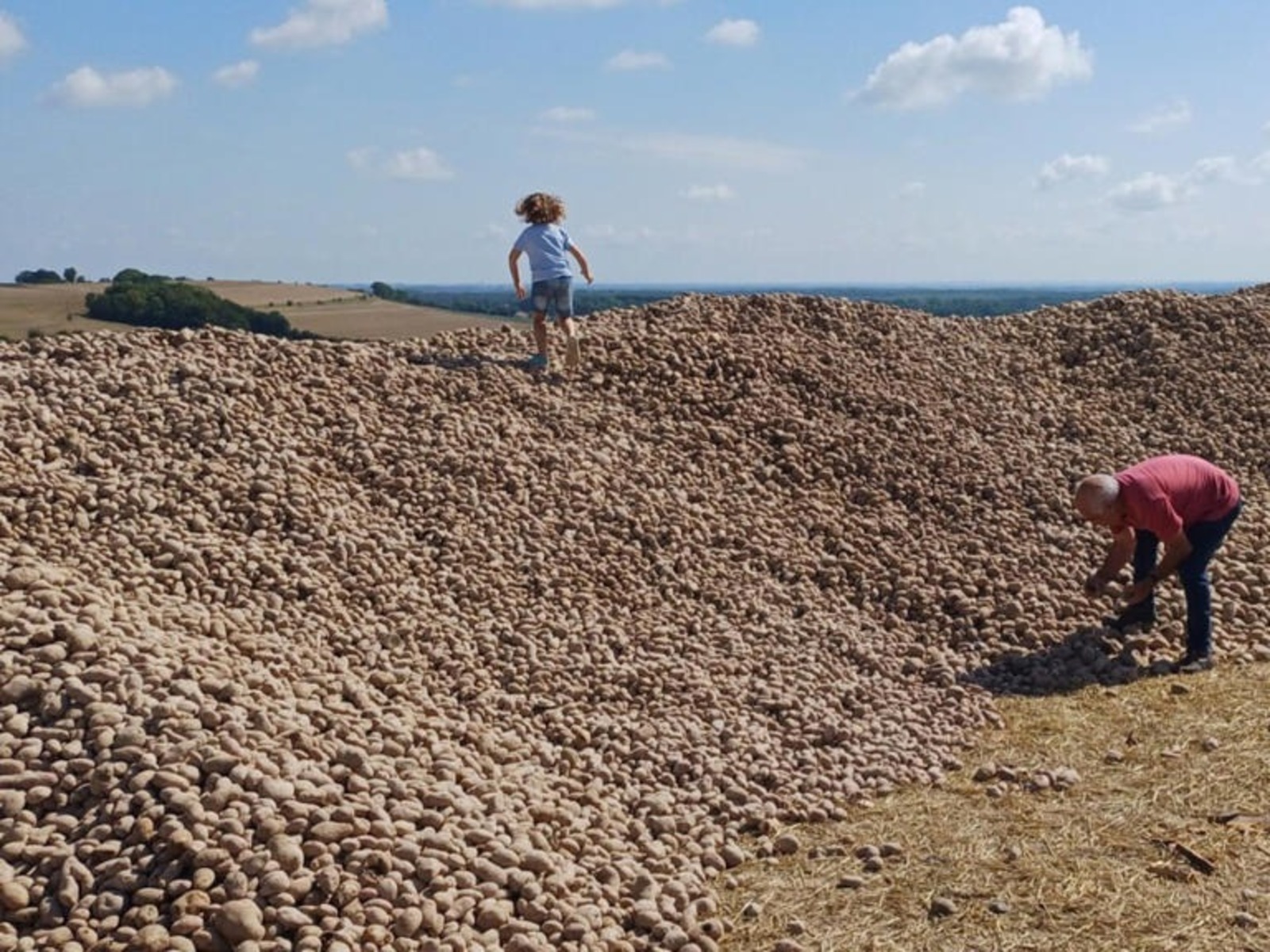 Batatas, Montanha de batatas, França, Agricultor