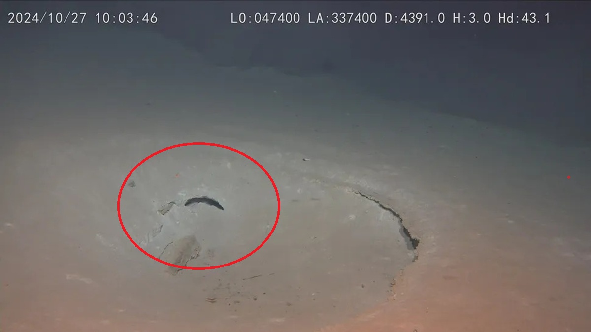 Submersível chinês explora crateras gigantes até então desconhecidas no fundo do Pacífico — e mostra o que conseguiu filmar